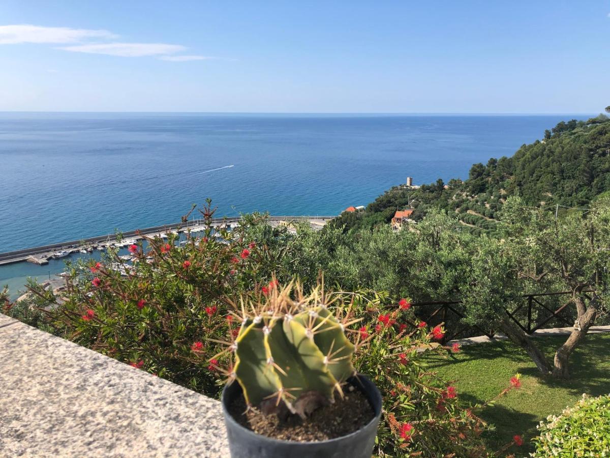 Villa Degli Ulivi B&B Finale Ligure Zewnętrze zdjęcie