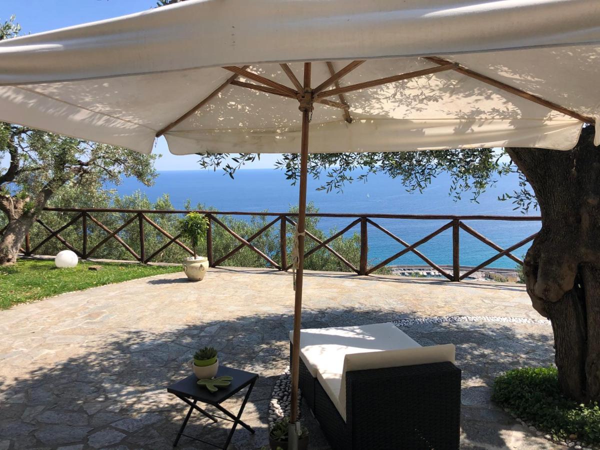 Villa Degli Ulivi B&B Finale Ligure Zewnętrze zdjęcie
